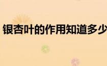 银杏叶的作用知道多少(银杏叶的作用和用途)