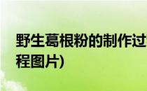 野生葛根粉的制作过程(野生葛根粉的制作过程图片)