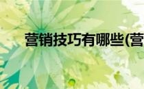 营销技巧有哪些(营销策略有哪些方法)