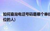 如何查询电话号码是哪个单位的(如何查询电话号码是哪个单位的人)
