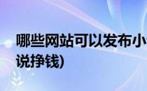哪些网站可以发布小说(哪些网站可以发布小说挣钱)