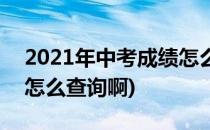 2021年中考成绩怎么查询(2021年中考成绩怎么查询啊)