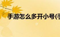 手游怎么多开小号(手游怎么多开小号玩)