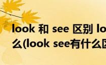look 和 see 区别 look的用法中文解释是什么(look see有什么区别)