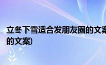 立冬下雪适合发朋友圈的文案有哪些(朋友圈适合冬天下雪发的文案)