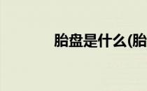 胎盘是什么(胎盘是什么东西)