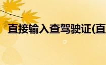 直接输入查驾驶证(直接输入查驾驶证信息)