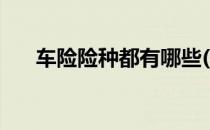 车险险种都有哪些(车险险种都有哪些)