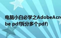 电脑小白必学之AdobeAcrobat 单个PDF拆分成多个(adobe pdf拆分多个pdf)