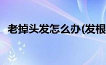 老掉头发怎么办(发根脆弱老掉头发怎么办)