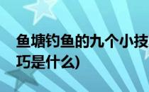 鱼塘钓鱼的九个小技巧(鱼塘钓鱼的九个小技巧是什么)