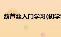 葫芦丝入门学习(初学葫芦丝1234567吹法)
