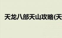 天龙八部天山攻略(天龙八部天山攻略大全)