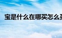 宝是什么在哪买怎么买(宝什么时候可以买)