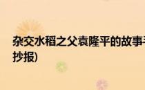 杂交水稻之父袁隆平的故事手抄报(杂交水稻之父 袁隆平手抄报)