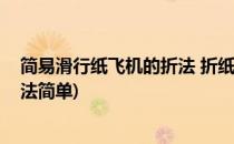 简易滑行纸飞机的折法 折纸飞机大全(最牛滑翔纸飞机的折法简单)