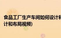 食品工厂生产车间如何设计和布局(食品工厂生产车间如何设计和布局视频)