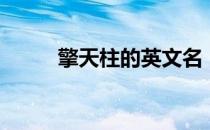 擎天柱的英文名（擎天柱的英文）