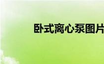 卧式离心泵图片（卧式离心泵）