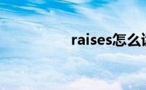 raises怎么读（raises）
