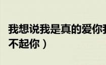 我想说我是真的爱你我想说我对不起你（我对不起你）