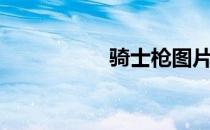 骑士枪图片（骑士枪）