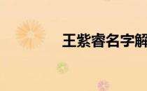 王紫睿名字解析（王紫睿）