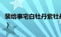 裴给事宅白牡丹紫牡丹特征（裴给事宅白牡丹）