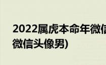 2022属虎本命年微信头像(2022属虎本命年微信头像男)