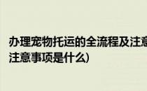 办理宠物托运的全流程及注意事项(办理宠物托运的全流程及注意事项是什么)