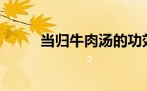 当归牛肉汤的功效（当归牛肉汤）