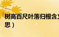 树高百尺叶落归根含义（树高百尺叶落归根意思）