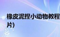 橡皮泥捏小动物教程(橡皮泥捏小动物教程图片)