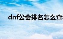 dnf公会排名怎么查看(DNF怎么看排名)