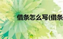 借条怎么写(借条怎么写正规借条)
