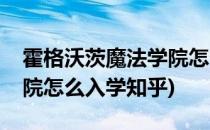 霍格沃茨魔法学院怎么入学(霍格沃茨魔法学院怎么入学知乎)