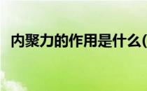 内聚力的作用是什么(内聚力的作用有哪些)