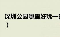 深圳公园哪里好玩一日游（深圳公园哪里好玩）