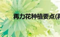再力花种植要点(再力花的生长环境)