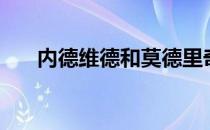 内德维德和莫德里奇谁强（内德维德）