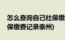 怎么查询自己社保缴费记录(怎么查询自己社保缴费记录泰州)