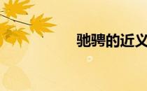 驰骋的近义词（驰骋）