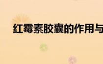 红霉素胶囊的作用与功效（红霉素胶囊）