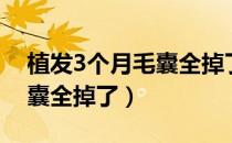 植发3个月毛囊全掉了怎么办（植发3个月毛囊全掉了）
