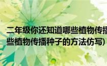 二年级你还知道哪些植物传播种子的方法(二年级你还知道哪些植物传播种子的方法仿写)