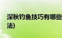 深秋钓鱼技巧有哪些(深秋钓鱼技巧有哪些方法)