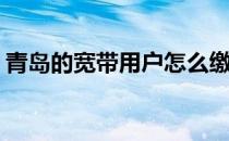 青岛的宽带用户怎么缴费(青岛移动宽带缴费)