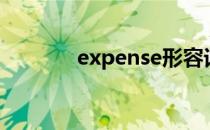 expense形容词（expense）