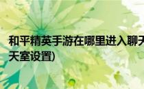 和平精英手游在哪里进入聊天室(和平精英手游在哪里进入聊天室设置)