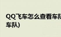 QQ飞车怎么查看车队成员(QQ飞车怎么搜索车队)
